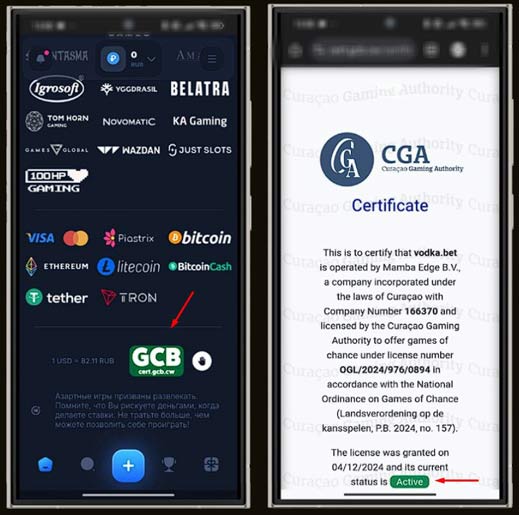 Лицензия казино Vodka