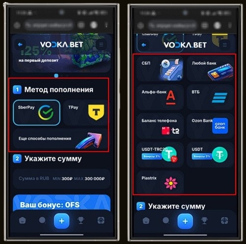 Способы оплаты в Vodka Casino
